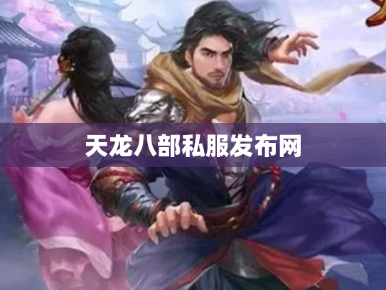 天龙八部私服发布网