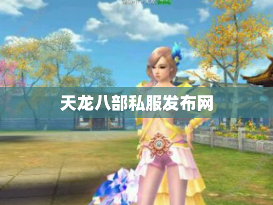 天龙八部私服发布网