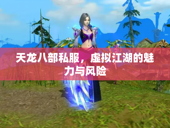 天龙八部私服，虚拟江湖的魅力与风险