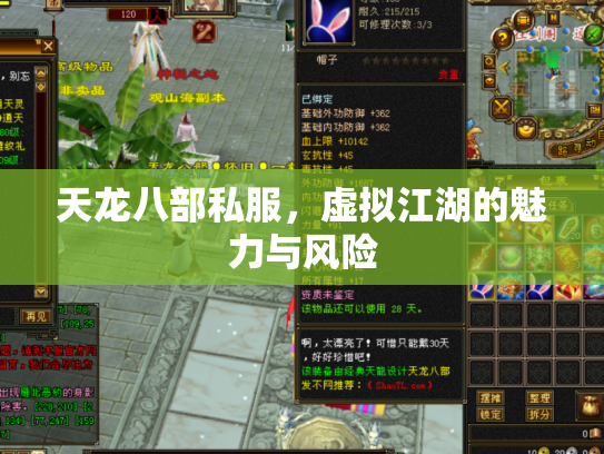天龙八部私服，虚拟江湖的魅力与风险