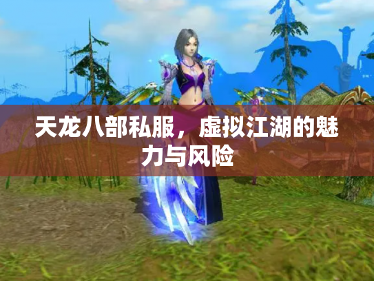 天龙八部私服，虚拟江湖的魅力与风险