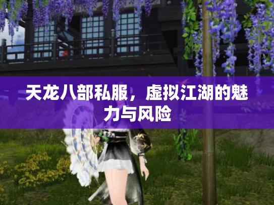 天龙八部私服，虚拟江湖的魅力与风险