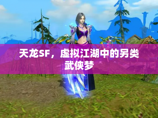 天龙SF，虚拟江湖中的另类武侠梦