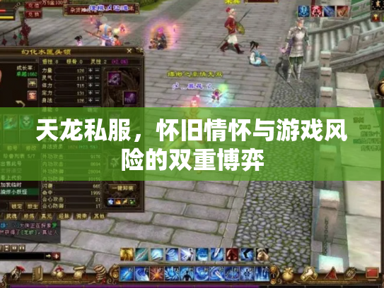 天龙私服，怀旧情怀与游戏风险的双重博弈