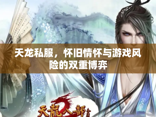 天龙私服，怀旧情怀与游戏风险的双重博弈