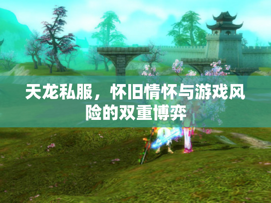 天龙私服，怀旧情怀与游戏风险的双重博弈