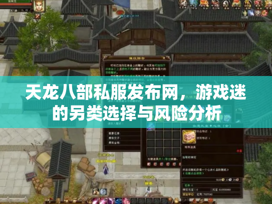 天龙八部私服发布网，游戏迷的另类选择与风险分析