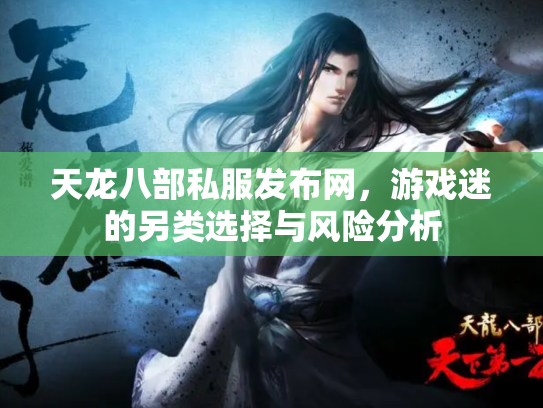 天龙八部私服发布网，游戏迷的另类选择与风险分析