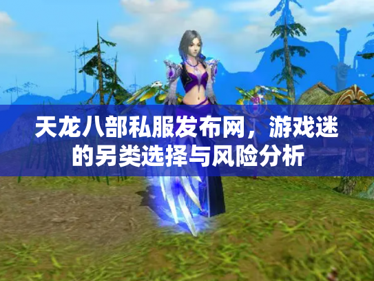 天龙八部私服发布网，游戏迷的另类选择与风险分析