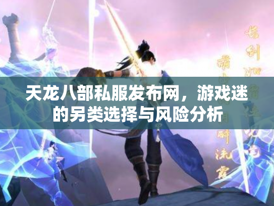 天龙八部私服发布网，游戏迷的另类选择与风险分析