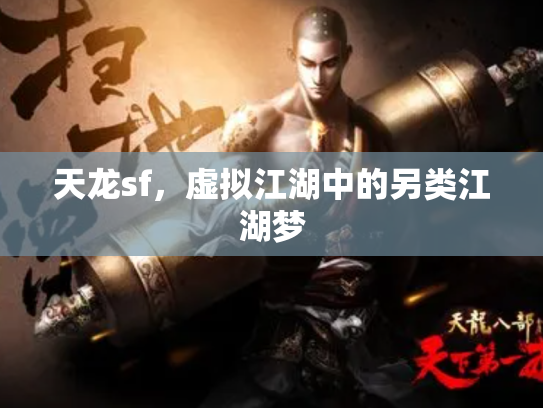 天龙sf，虚拟江湖中的另类江湖梦