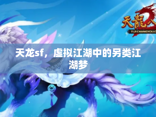 天龙sf，虚拟江湖中的另类江湖梦