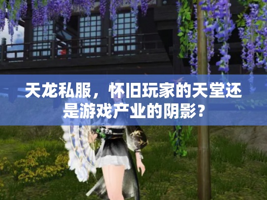 天龙私服，怀旧玩家的天堂还是游戏产业的阴影？