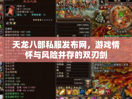 天龙八部私服发布网，游戏情怀与风险并存的双刃剑