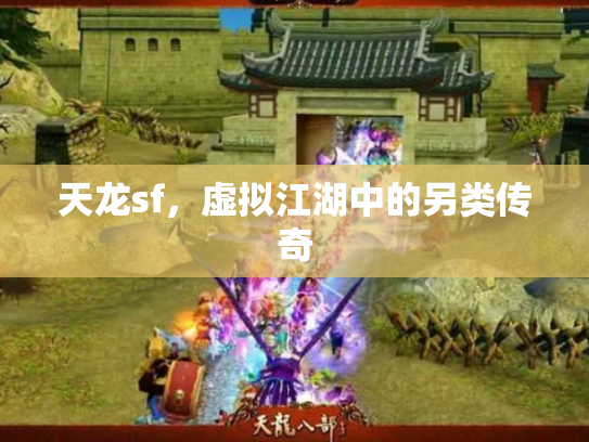天龙sf，虚拟江湖中的另类传奇