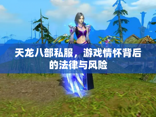 天龙八部私服，游戏情怀背后的法律与风险