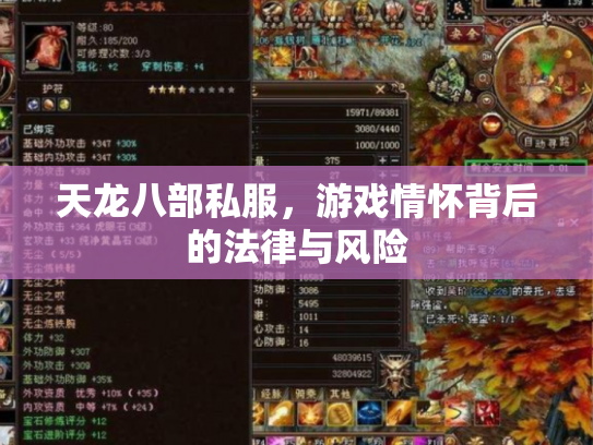 天龙八部私服，游戏情怀背后的法律与风险
