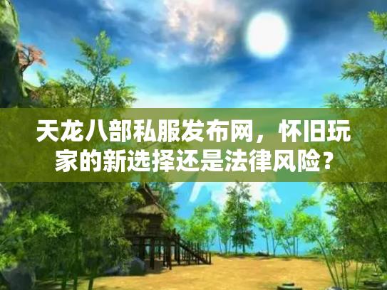 天龙八部私服发布网，怀旧玩家的新选择还是法律风险？