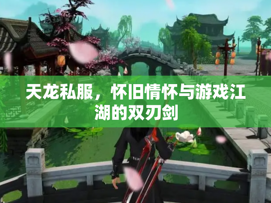 天龙私服，怀旧情怀与游戏江湖的双刃剑