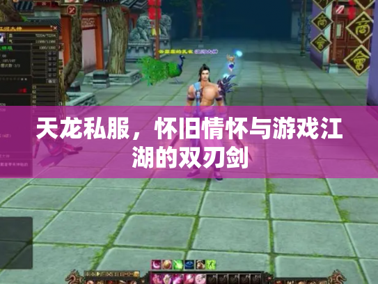 天龙私服，怀旧情怀与游戏江湖的双刃剑