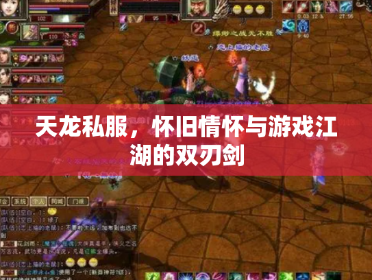 天龙私服，怀旧情怀与游戏江湖的双刃剑