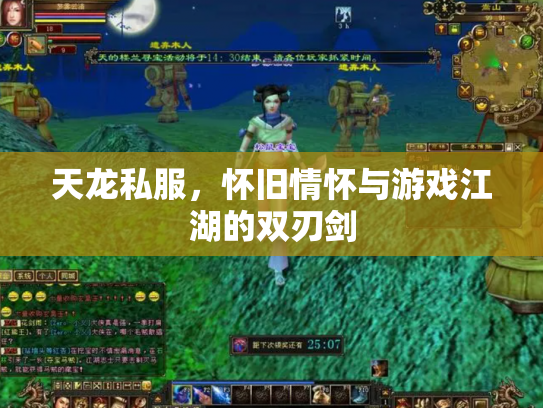 天龙私服，怀旧情怀与游戏江湖的双刃剑