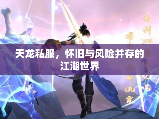天龙私服，怀旧与风险并存的江湖世界