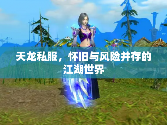 天龙私服，怀旧与风险并存的江湖世界