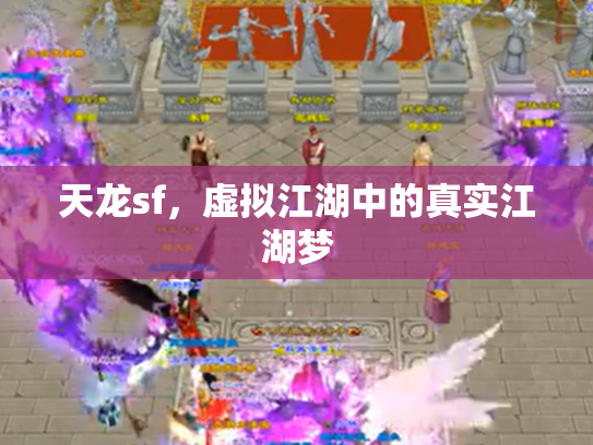 天龙sf，虚拟江湖中的真实江湖梦