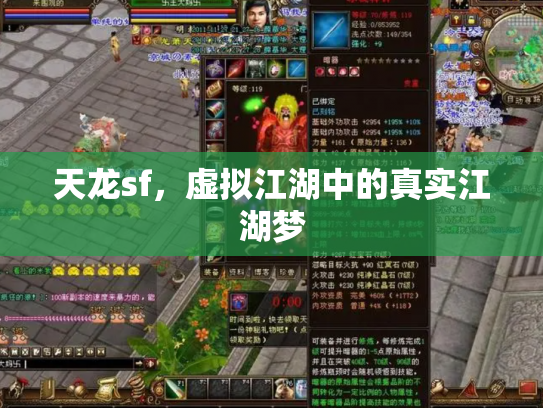 天龙sf，虚拟江湖中的真实江湖梦