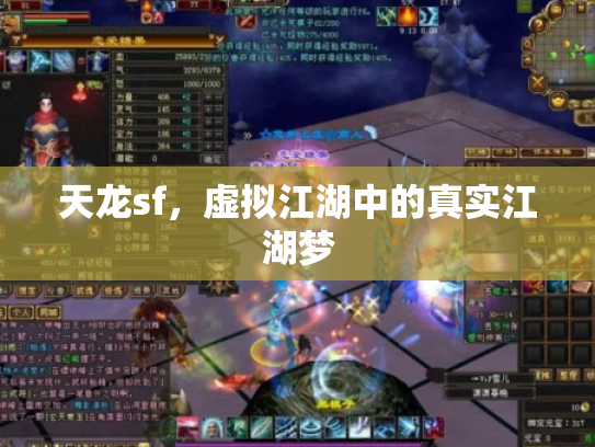 天龙sf，虚拟江湖中的真实江湖梦