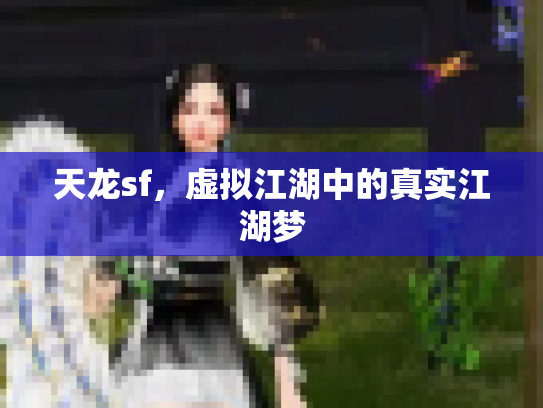 天龙sf，虚拟江湖中的真实江湖梦