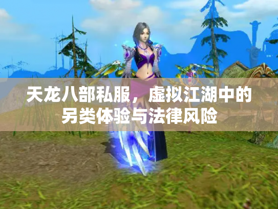 天龙八部私服，虚拟江湖中的另类体验与法律风险