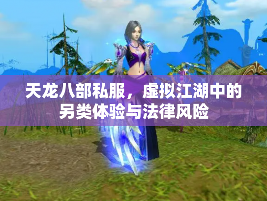 天龙八部私服，虚拟江湖中的另类体验与法律风险