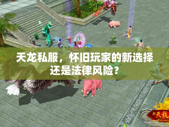 天龙私服，怀旧玩家的新选择还是法律风险？