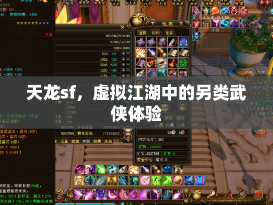 天龙sf，虚拟江湖中的另类武侠体验