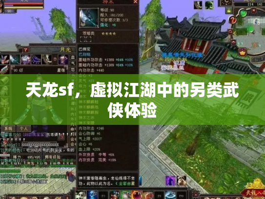 天龙sf，虚拟江湖中的另类武侠体验