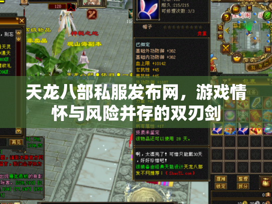 天龙八部私服发布网，游戏情怀与风险并存的双刃剑