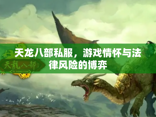 天龙八部私服，游戏情怀与法律风险的博弈