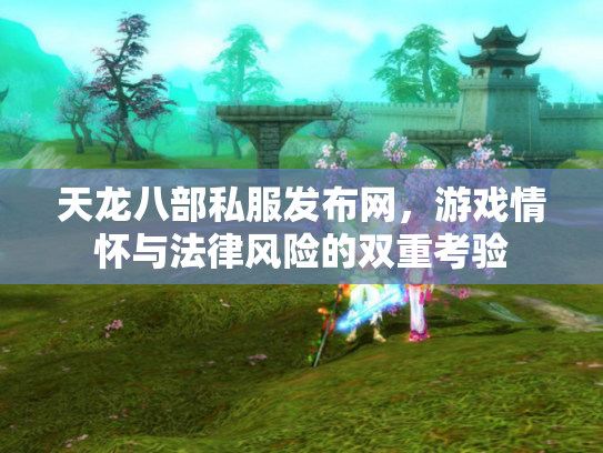 天龙八部私服发布网，游戏情怀与法律风险的双重考验