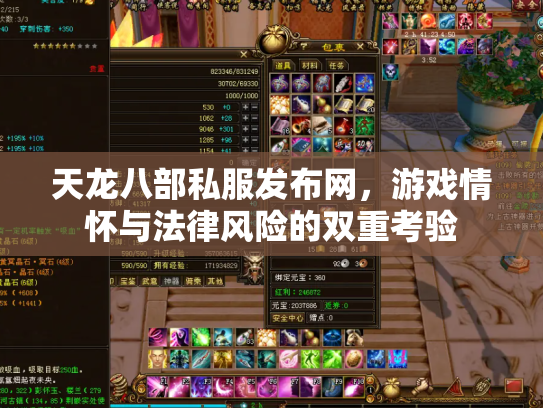 天龙八部私服发布网，游戏情怀与法律风险的双重考验