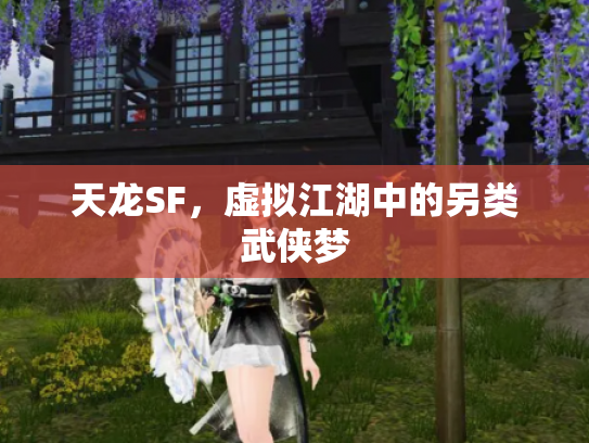 天龙SF，虚拟江湖中的另类武侠梦