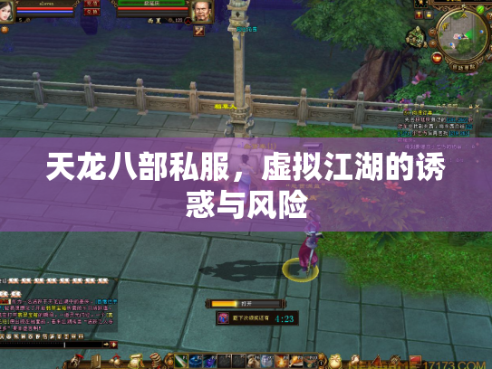天龙八部私服，虚拟江湖的诱惑与风险