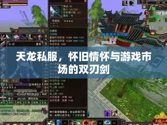 天龙私服，怀旧情怀与游戏市场的双刃剑