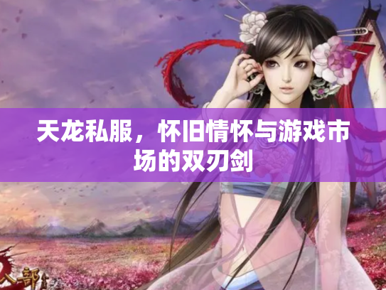 天龙私服，怀旧情怀与游戏市场的双刃剑