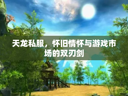 天龙私服，怀旧情怀与游戏市场的双刃剑