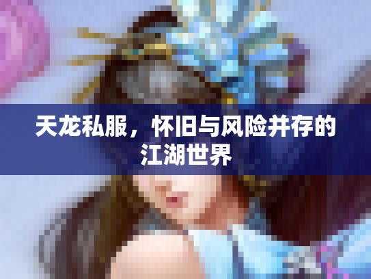 天龙私服，怀旧与风险并存的江湖世界
