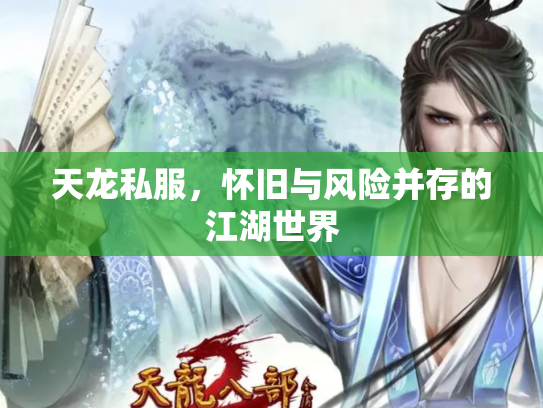 天龙私服，怀旧与风险并存的江湖世界