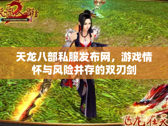 天龙八部私服发布网，游戏情怀与风险并存的双刃剑