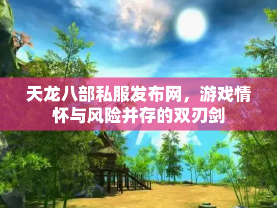 天龙八部私服发布网，游戏情怀与风险并存的双刃剑